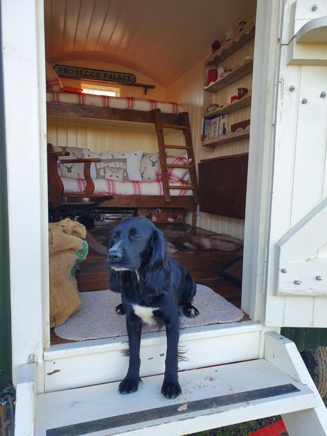 The Delkin Shepherds Huts Castle Combe Bagian luar foto